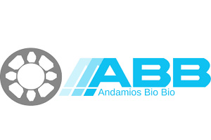 Andamios Bio Bio Andamios en Concepción online