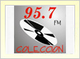 Radio Coleccin de Curacautn online