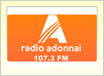 Radio Adonnai de Quinta Normal online